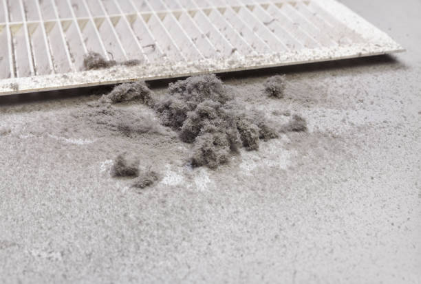 Air Duct Mold Removal in Orchard Hills, PA